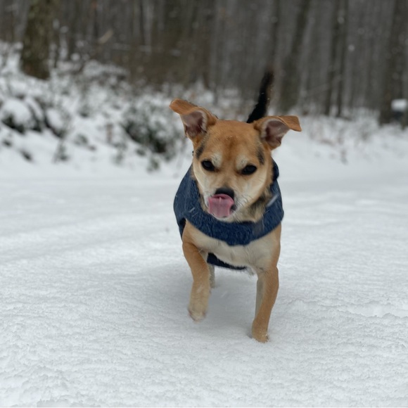 Meet your Posher, Angela - Picture 1 of 1